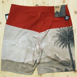 PICTURE BOARDSHORTS CODE 19